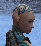 Mönch Elite-Luxon-Rüstung Weiblich kopf seite.jpg