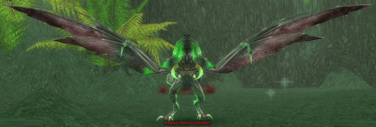 Kaswa Netzschreiter.jpg