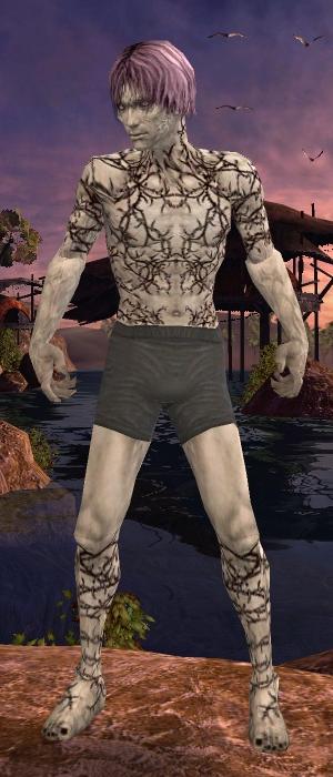 Nekromant Elite-Narbenmuster-Rüstung Männlich brust schuh vorne.jpg