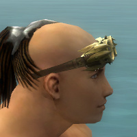 Rosatote Brille seite.jpg