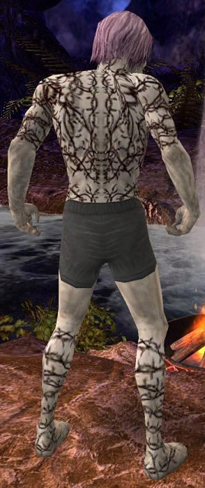 Nekromant Elite-Narbenmuster-Rüstung Männlich brust schuh hinten.jpg