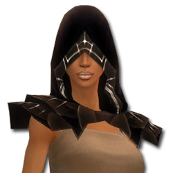 Derwisch Altehrwürdige Rüstung Weiblich kopf vorne.jpg