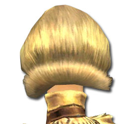 Datei:Mesmer Vaabi-Rüstung Weiblich kopf hinten.jpg