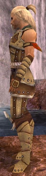 Waldläufer Elite-Beschlagene Leder-Rüstung Männlich seite.jpg