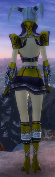 Elementarmagier Deldrimor-Rüstung Weiblich hinten.jpg