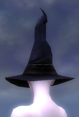 Schlimmer Hut weiblich hinten.jpg