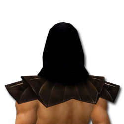 Derwisch Altehrwürdige Rüstung Männlich kopf hinten.jpg