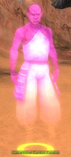 Datei:Kaiserlicher Gardist Kaichen.jpg