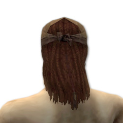 Waldläufer Pelzverbrämte-Rüstung Männlich kopf hinten.jpg