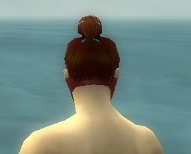 Datei:Assassine Elite-Kaiser-Rüstung Männlich kopf hinten.jpg