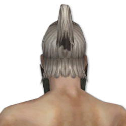 Waldläufer Tierbändiger-Maske Männlich hinten.jpg