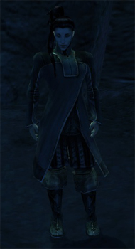 Historiker der Häuser.jpg