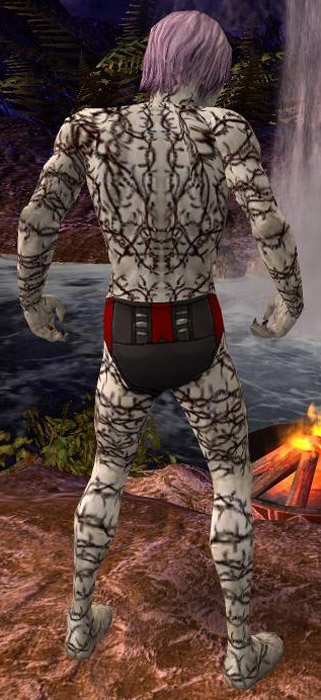 Nekromant Elite-Narbenmuster-Rüstung Männlich hinten.jpg