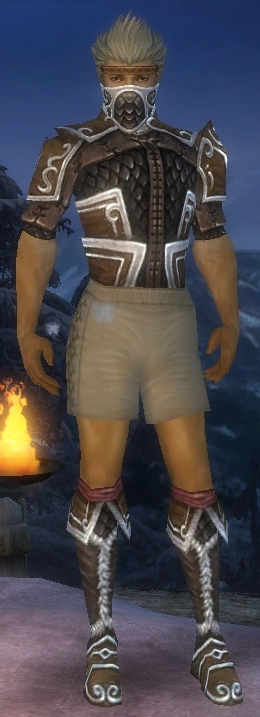 Waldläufer Elite-Cantha-Rüstung Männlich brust schuh vorne.jpg