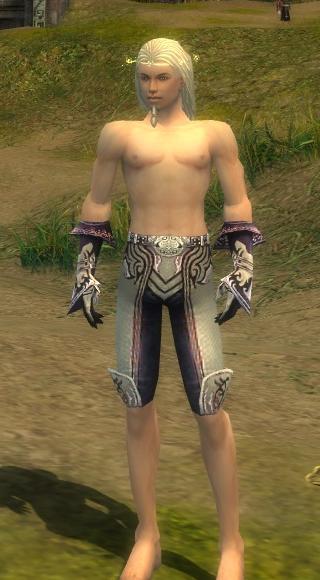 Elementarmagier Deldrimor-Rüstung Männlich hand bein vorne.jpg