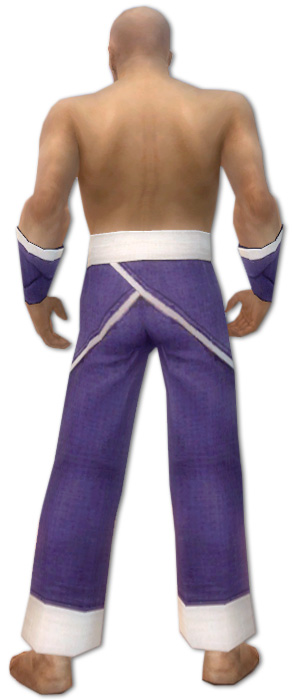 Mönch Ascalon-Rüstung Männlich hand bein hinten.jpg