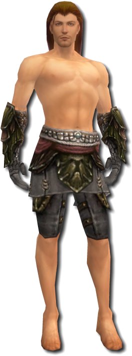 Waldläufer Elite-Luxon-Rüstung Männlich hand bein vorne.jpg