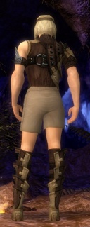 Waldläufer Obsidian-Rüstung Männlich brust schuh hinten.jpg