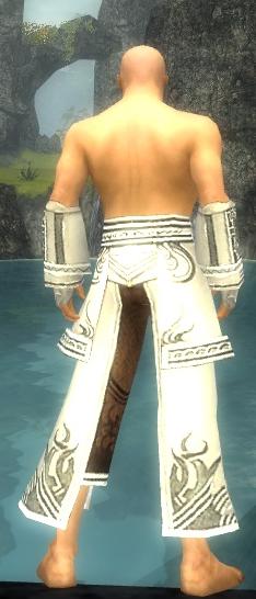 Mönch Deldrimor-Rüstung Männlich hand bein hinten.jpg