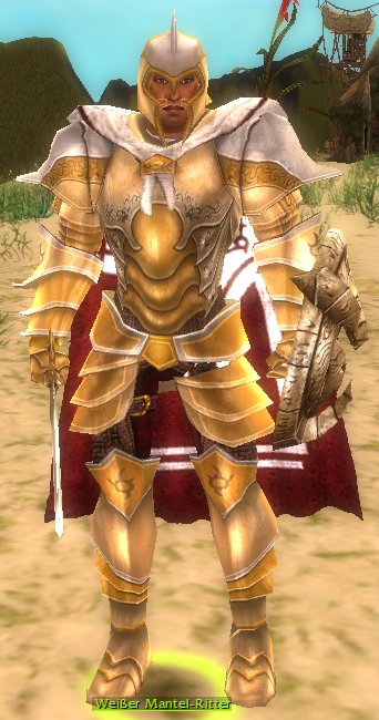 Weißer Mantel-Ritter – GuildWiki