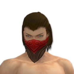 Waldläufer Monument-Rüstung Männlich kopf vorne.jpg