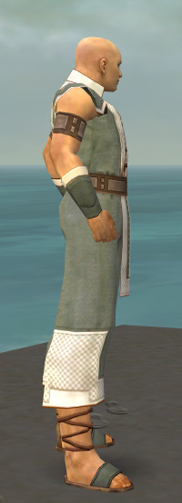 Mönch Kryta-Rüstung Männlich seite.jpg