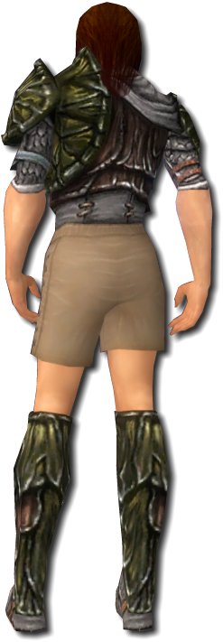 Waldläufer Elite-Luxon-Rüstung Männlich brust schuh hinten.jpg