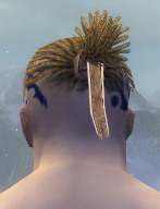 Mönch Elite-Kurzick-Rüstung Männlich kopf hinten.jpg