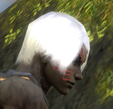 Nekromant Norn-Rüstung Männlich kopf seite.jpg