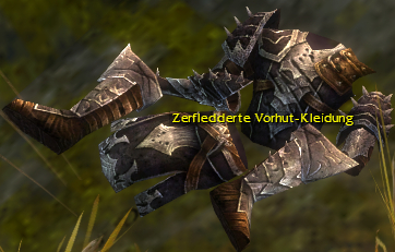 Datei:Zerfledderte Vorhut-Kleidung.jpg