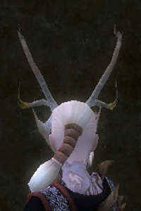 Große Hörner von Grenth hinten.jpg