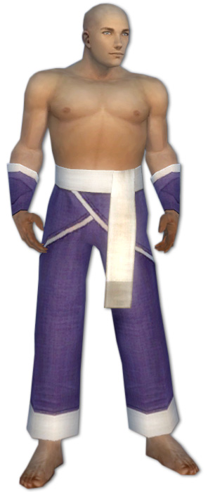 Mönch Ascalon-Rüstung Männlich hand bein vorne.jpg