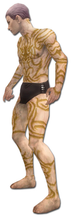 Nekromant Narbenmuster-Rüstung Männlich seite.jpg