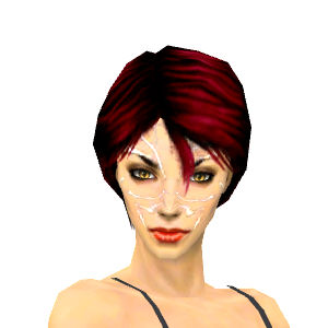 Nekromant Altehrwürdige Rüstung Weiblich kopf vorne.jpg