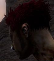 Datei:Nekromant Elite-Sonnenspeer-Rüstung Männlich kopf hinten.jpg