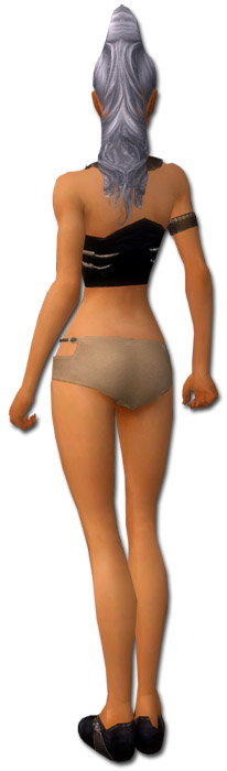 Derwisch Altehrwürdige Rüstung Weiblich brust schuh hinten.jpg