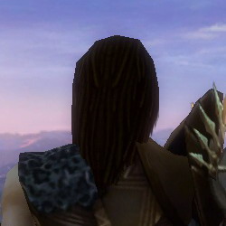 Datei:Waldläufer Elite-Sonnenspeer-Rüstung Männlich kopf hinten.jpg