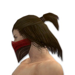 Waldläufer Monument-Rüstung Männlich kopf seite.jpg