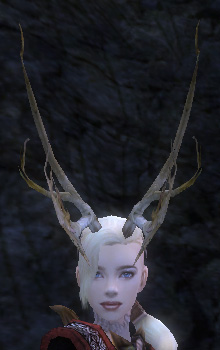 Große Hörner von Grenth vorne.jpg