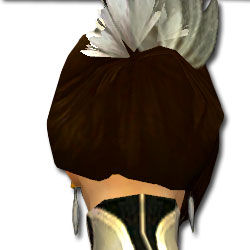 Datei:Mesmer Asura-Rüstung Weiblich kopf hinten.jpg