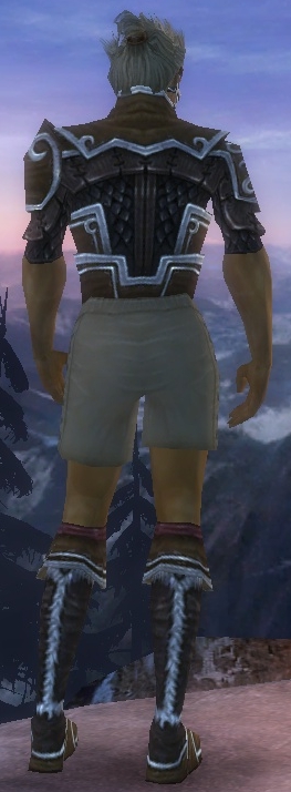 Waldläufer Elite-Cantha-Rüstung Männlich brust schuh hinten.jpg