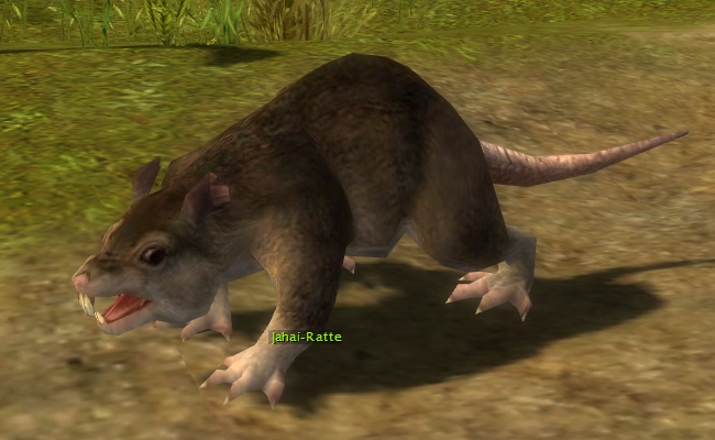 Datei:Jahai-Ratte (Sammler).jpg