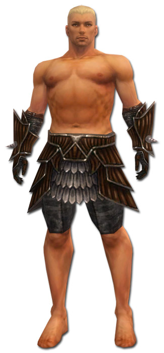 Krieger Wyvernrüstung Männlich hand bein vorne.jpg