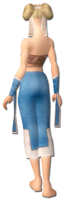 Mönch Kryta-Rüstung Weiblich hand bein hinten.jpg