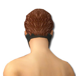 Datei:Assassine Seitung-Rüstung Männlich kopf hinten.jpg