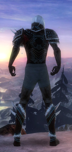 Nekromant Norn-Rüstung Männlich brust schuh hinten.jpg