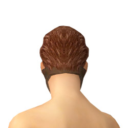 Datei:Assassine Cantha-Rüstung Männlich kopf hinten.jpg