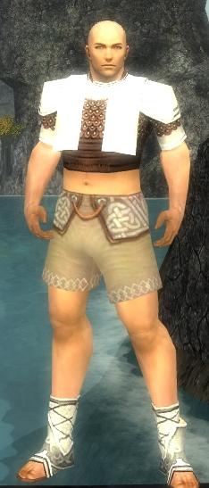 Mönch Deldrimor-Rüstung Männlich brust schuh vorne.jpg