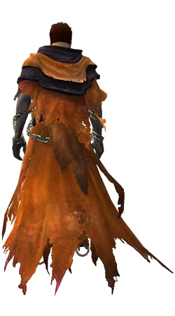 Wraith Costume männlich hinten.jpg