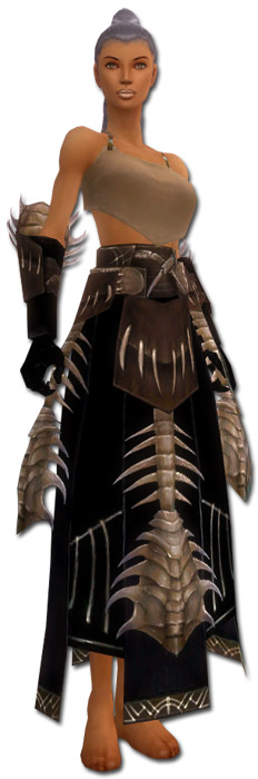 Derwisch Altehrwürdige Rüstung Weiblich hand bein vorne.jpg